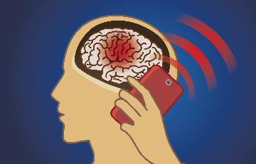 ¿Cómo se formaron las neuronas por primera vez?