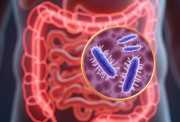 Síndrome del intestino con sobrecrecimiento bacteriano
